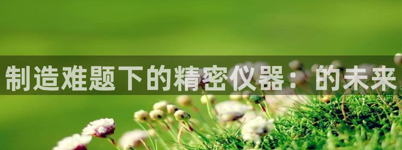 云顶国际电子注册平台：制造难题下的精密仪器：的未来