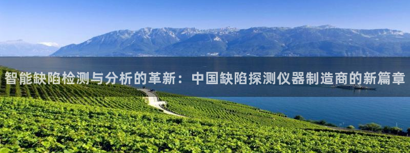 云顶集团存76送76：智能缺陷检测与分析的革新：中国缺陷探测