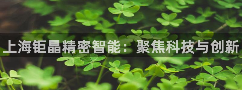 云顶集团网站注册：上海钜晶精密智能：聚焦科技与创新