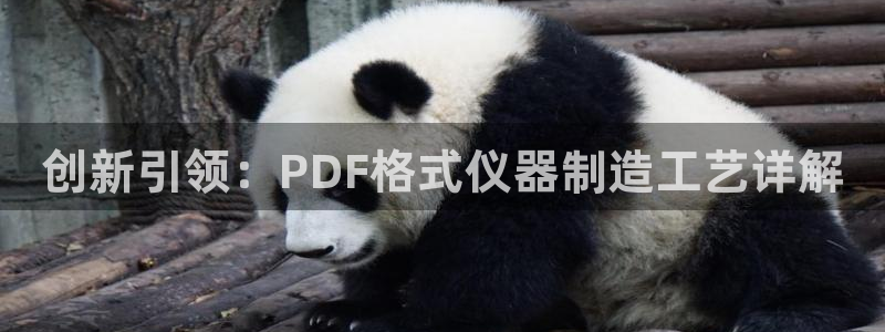 云顶国际电子游戏官网：创新引领：PDF格式仪器制造工艺详解