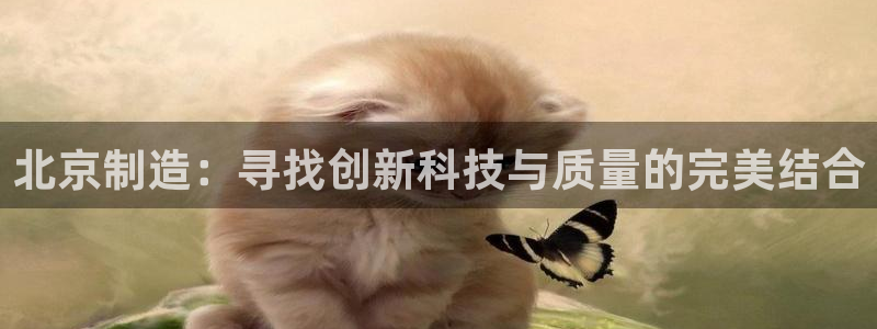 云顶国际城手机网址：北京制造：寻找创新科技与质量的完美结合
