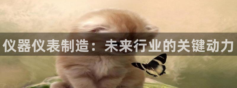 yd云顶国际：仪器仪表制造：未来行业的关键动力