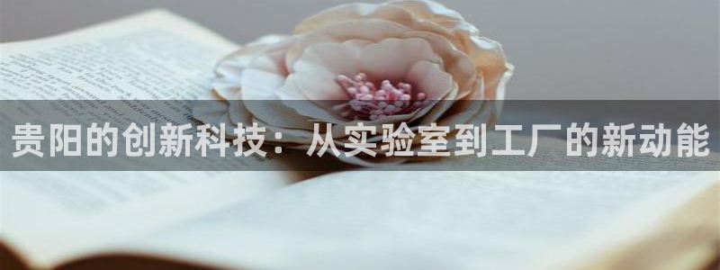 云顶国际怎么才能提现：贵阳的创新科技：从实验室到工厂的新动能