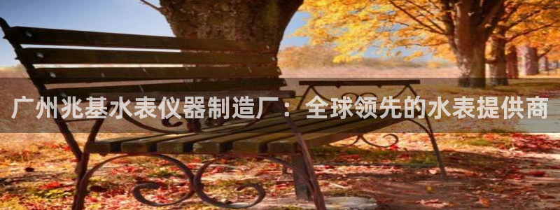 yd2333云顶电子：广州兆基水表仪器制造厂：全球领先的水表