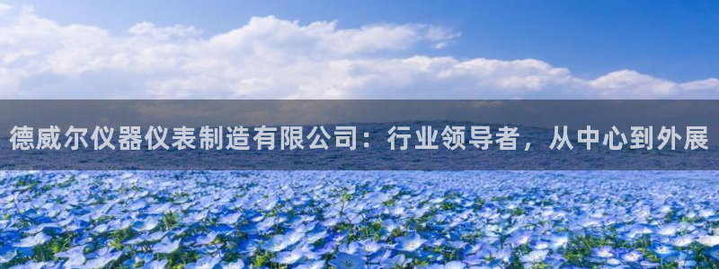 云顶国际版下载：德威尔仪器仪表制造有限公司：行业领导者，从中