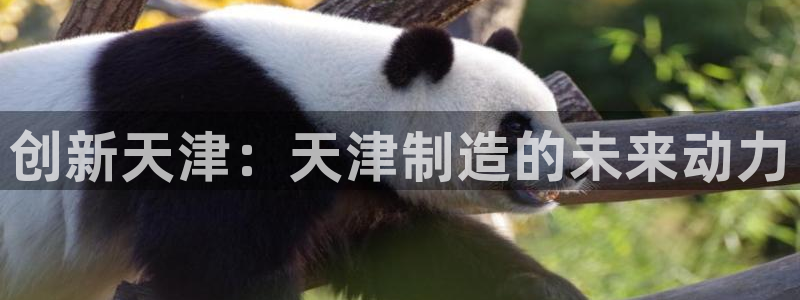 云顶国际黑网不出款了：创新天津：天津制造的未来动力