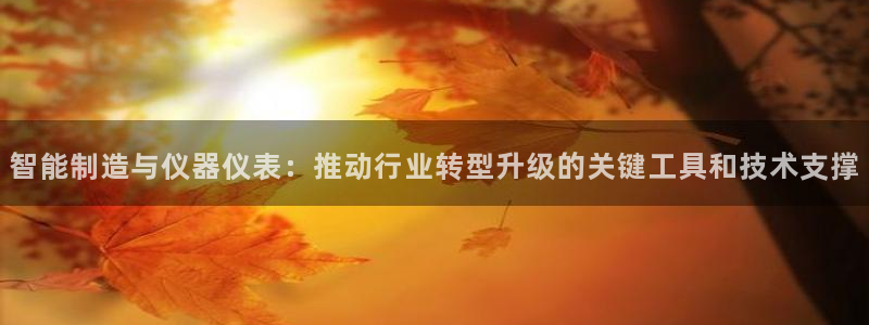 云顶国际服mac汉化