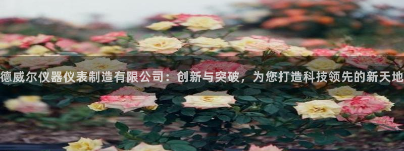 云顶国际投资有限公司招聘：德威尔仪器仪表制造有限公司：创新与