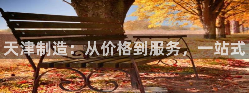 云顶国际app官方网站下载安装：天津制造：从价格到服务，一站