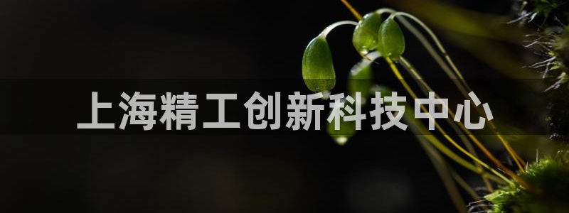 云顶集团游戏app特色：上海精工创新科技中心