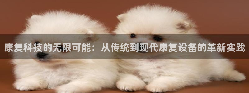 云顶网站官网：康复科技的无限可能：从传统到现代康复设备的革新