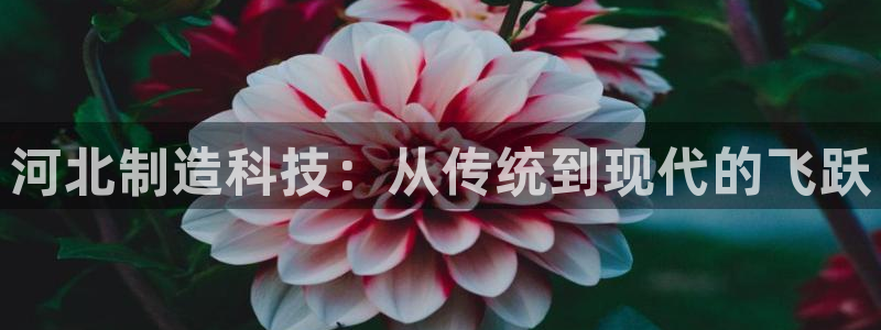 云顶国际8588yd：河北制造科技：从传统到现代的飞跃