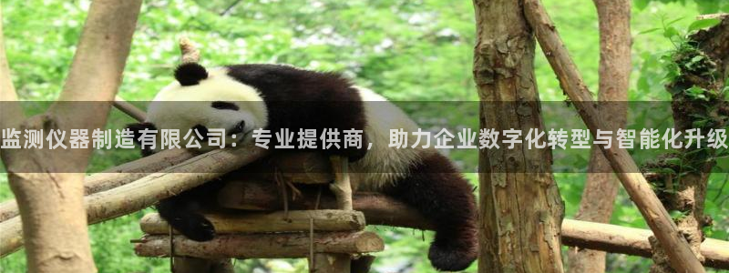 云顶国际服名字：监测仪器制造有限公司：专业提供商，助力企业数