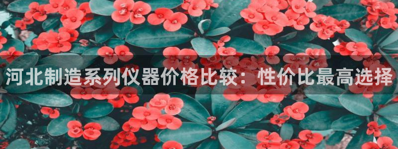 云顶国际酒店老板是哪里人