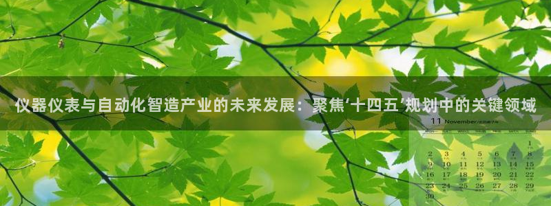 云顶国际网站：仪器仪表与自动化智造产业的未来发展：聚焦‘十四