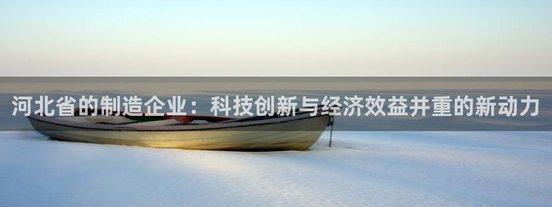 云顶国际商业广场：河北省的制造企业：科技创新与经济效益并重的