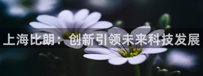 云顶国际服什么时候更新s10.5