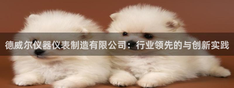 云顶集团董事长林东简历介绍：德威尔仪器仪表制造有限公司：行业