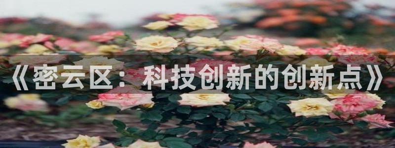 云顶国际百度百科：《密云区：科技创新的创新点》