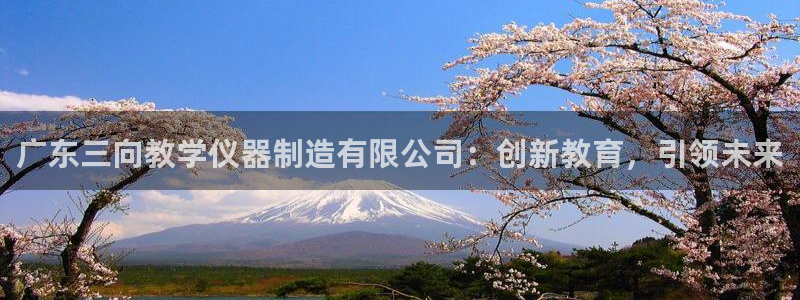 4008浏览器云顶下载
