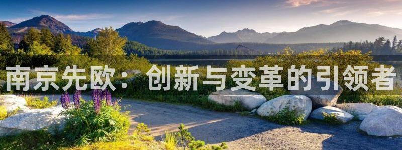 云顶集团简介资料：南京先欧：创新与变革的引领者