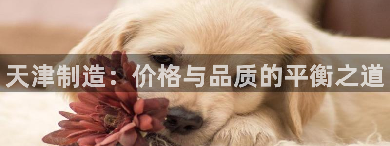 云顶国际城手机网址是多少