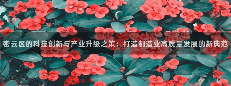 云顶国际在线登录不上：密云区的科技创新与产业升级之策：打造制