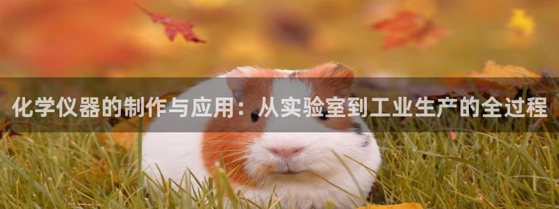 云顶国际是真实网站吗知乎