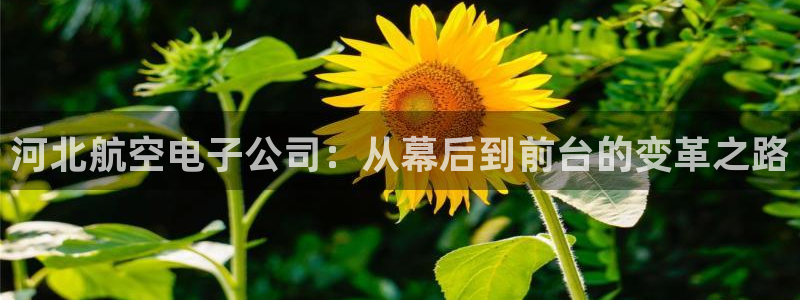 云顶国际是做什么的：河北航空电子公司：从幕后到前台的变革之路